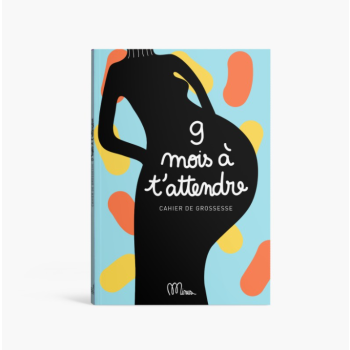 Cahier de grossesse à remplir 9 mois à t'attendre - MINUS