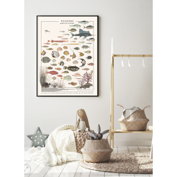 Affiche/planche Poissons - LES JOLIES PLANCHES