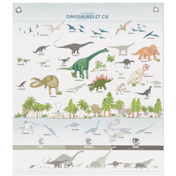Affiche/planche Dinosaures Les Jolies Planches