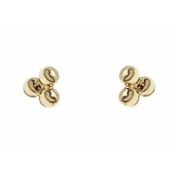 Petites puces TELMA