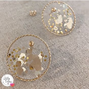 Puces Paillettes