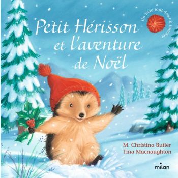 Livre Petit Hérisson et l'aventure de Noël