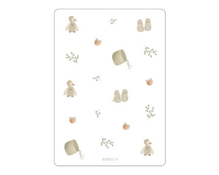 Carte - Naissance - canard sauge