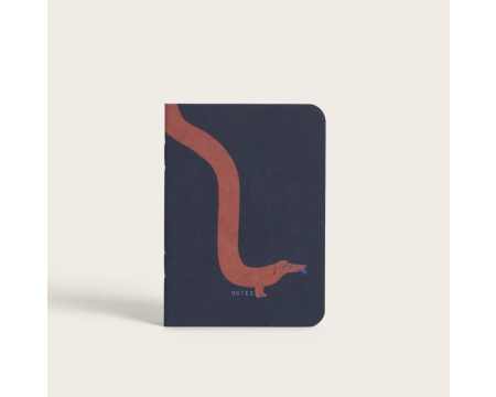 Carnet de poche Acrobatic