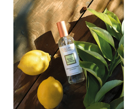 Parfum d'intérieur Bergamote Fraiche 100 ml