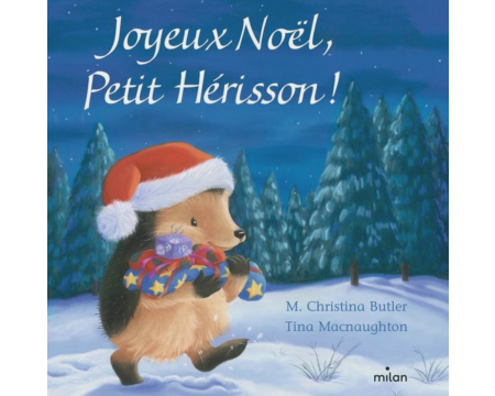 Livre Joyeux Noël petit hérisson 
