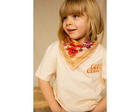Small foulard MANIKA Joy Macadamia APACHES