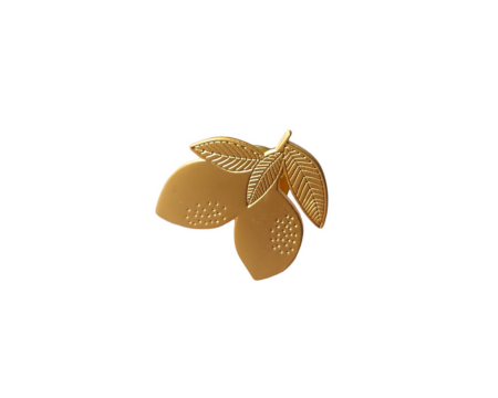 Pin's Citrons x2 POUSSIERES DES RUES