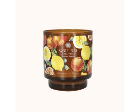 Bougie parfumée Agrumes du Verger 220g