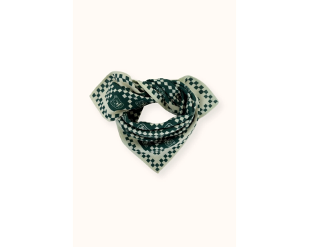 Small foulard Manika Tigro Forest APACHES