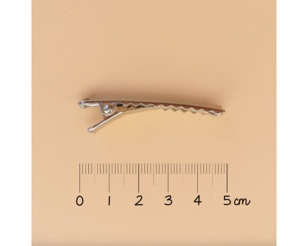 Barrette étoile filante argent multi