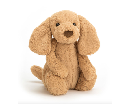 Bashful Toffee Puppy Jellycat