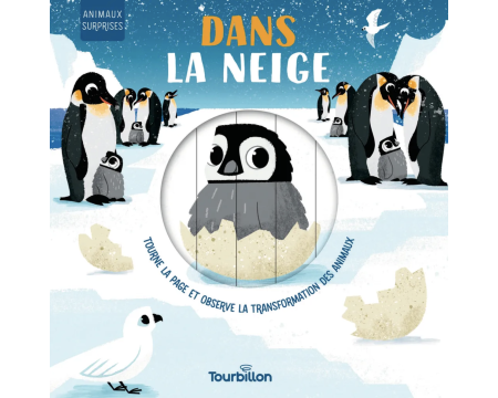 Livre - Dans la neige - éditions Tourbillon