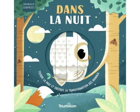 Livre - Dans la nuit - éditions Tourbillon