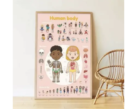 Poster XXL + stickers - POPPIK - CORPS HUMAIN