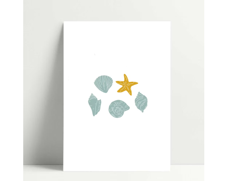 Carte Coquillages - Poussière des Rues