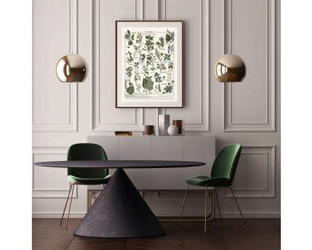 Affiche/planche Arbres - LES JOLIES PLANCHES