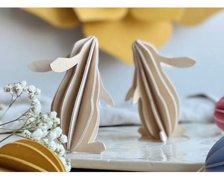 LOVI Lapin - Kit 3D