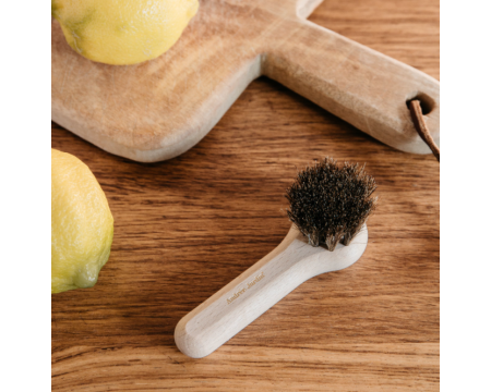 Brosse champignons et fruits - Andrée Jardin