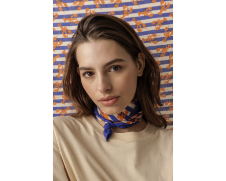 Small foulard Sebastien Orange APACHES