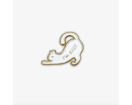 Pin's - Busy cat ALL THE WAYS TO SAY