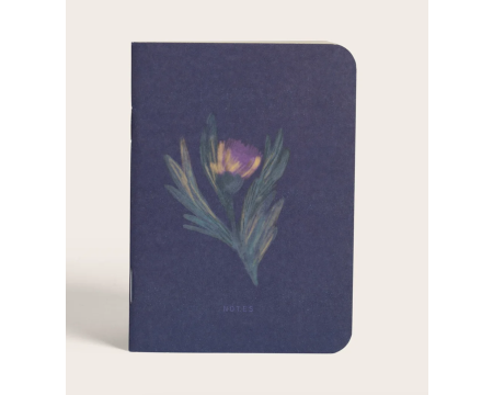 Carnet de poche Alba