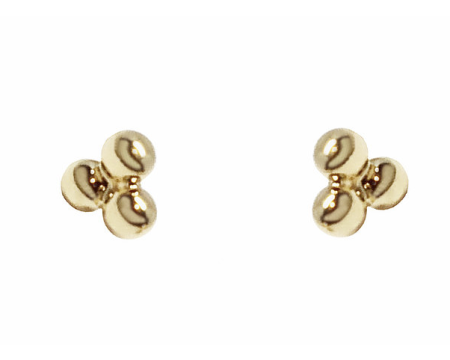 Petites puces THELMA