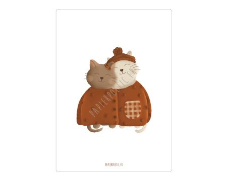 Carte - chats emmaillotés