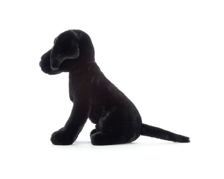 Peluche Jellycat Pippa Black Labrador