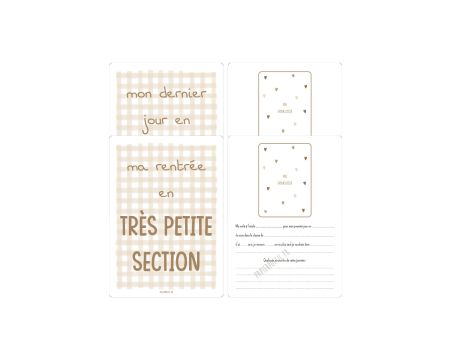 Cartes souvenirs - Très petite section - vichy